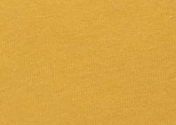 Burnt Yellow (Mango)