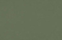 Light Olive (Pistachio Green)