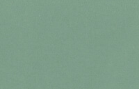 Stone Wash Sage Green